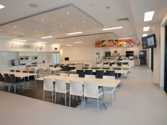 cook_95_brandl-3282284